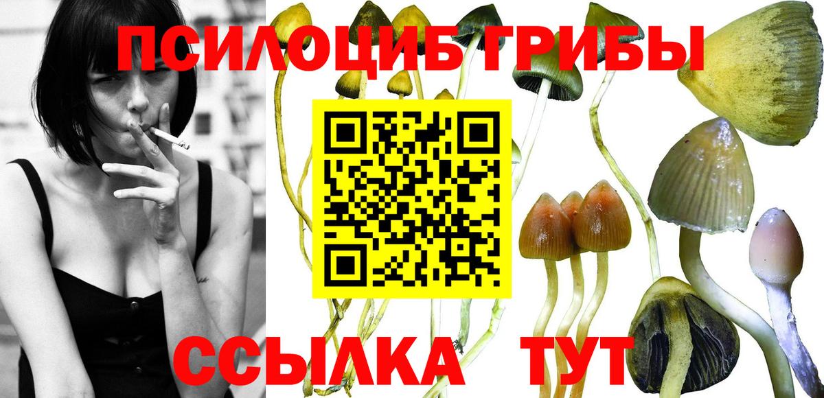 Псилоцибиновые грибы мухоморы  купить наркотики цена  Ипатово  Псилоцибиновые грибы Magic Shrooms  Вход с VPN 